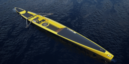 Remedy CF C1X Sundog